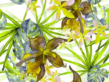 Orkide Kusursuz Desen.