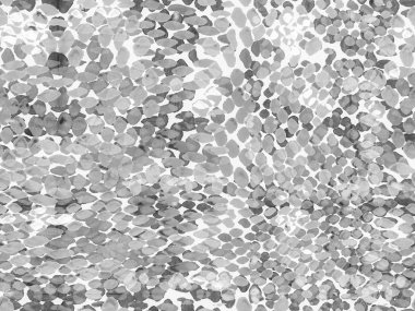 Yılan derisi arkaplanı.