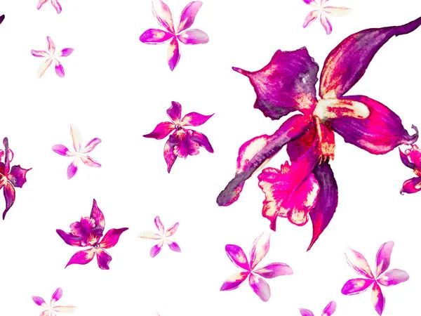 Patrón sin costura de la orquídea. — Foto de Stock