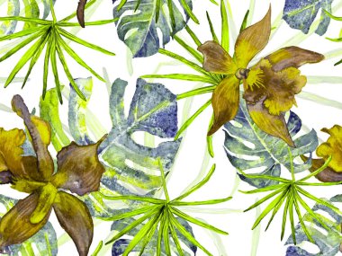 Orkide Kusursuz Desen.