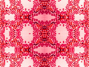 Yılan derisi arkaplanı.