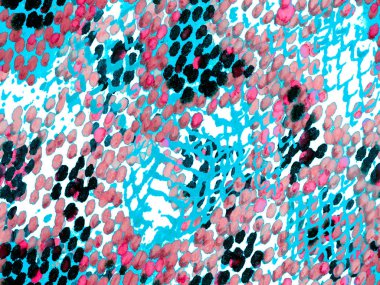 Yılan derisi arkaplanı.