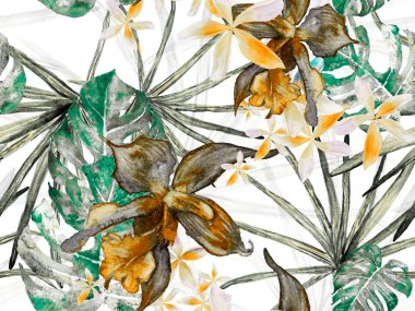 Orkide Kusursuz Desen.