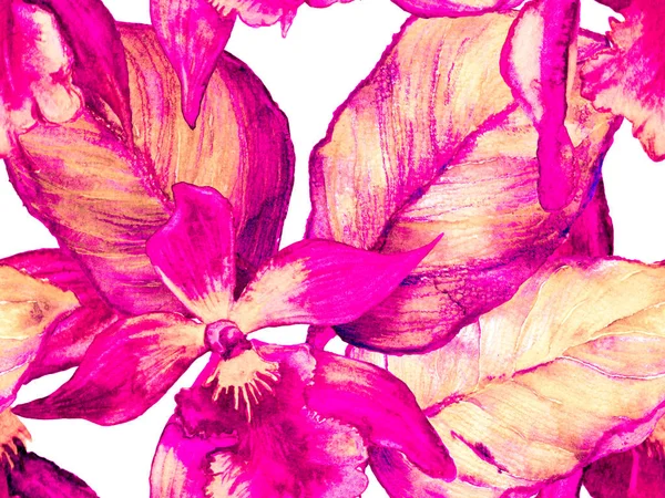 Bezešvý vzorek orchideje. — Stock fotografie