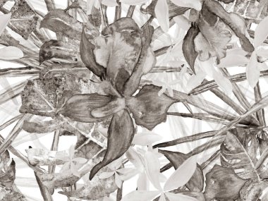 Orkide Kusursuz Desen.