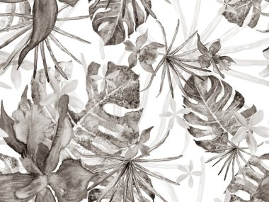 Orkide Kusursuz Desen.