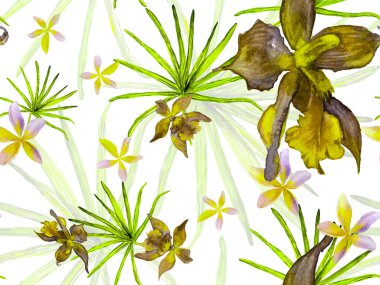 Orkide Kusursuz Desen.