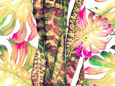 Suluboya Tertemiz Desen 'i Bırakıyor.