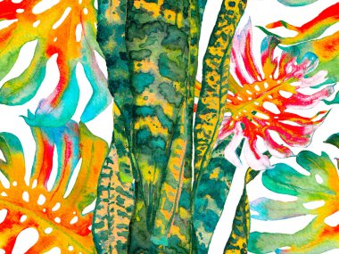 Suluboya Tertemiz Desen 'i Bırakıyor.