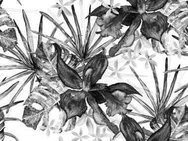 Orkide Kusursuz Desen.