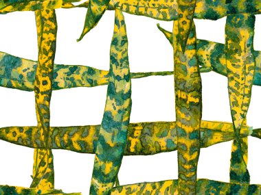 Suluboya Tertemiz Desen 'i Bırakıyor.