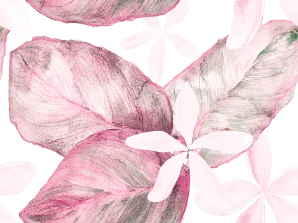 Orchid Seamless Pattern. — Stock Photo, Image