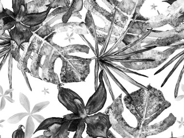 Orkide Kusursuz Desen.