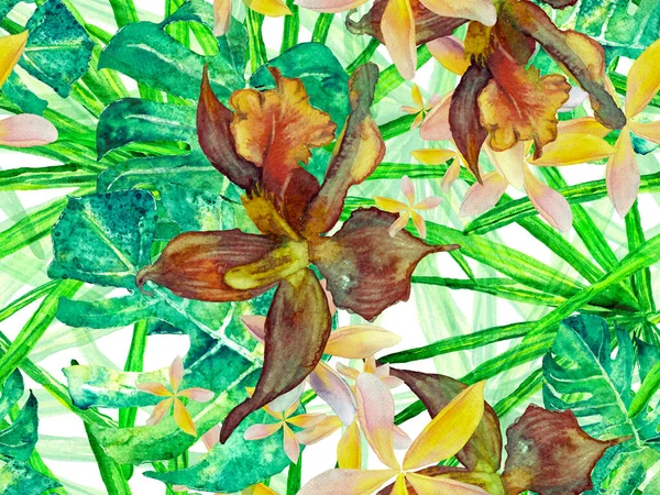Orkidésömlösa mönster. — Stockfoto