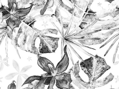 Orkide Kusursuz Desen.