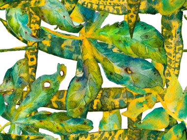 Suluboya Tertemiz Desen 'i Bırakıyor.