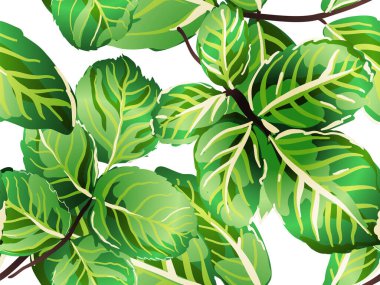 pürüzsüz desen bırakır.