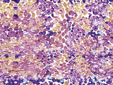 Yılan derisi arkaplanı.