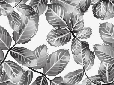 pürüzsüz desen bırakır.