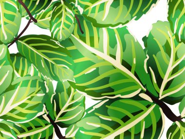 pürüzsüz desen bırakır.