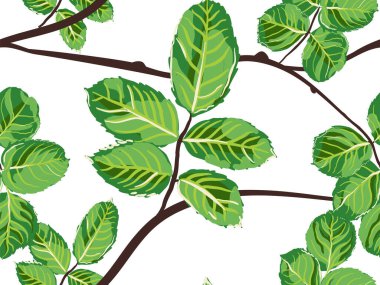 pürüzsüz desen bırakır.