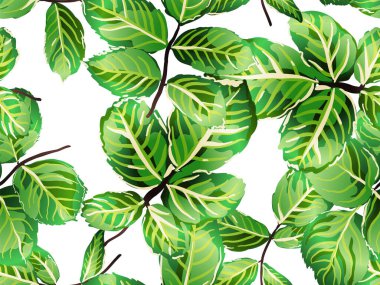 pürüzsüz desen bırakır.