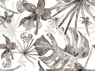 Orkide Kusursuz Desen.