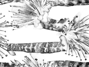 Suluboya Tertemiz Desen 'i Bırakıyor.