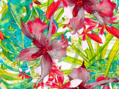 Orkide Kusursuz Desen.