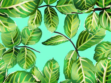 pürüzsüz desen bırakır.