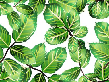 pürüzsüz desen bırakır.