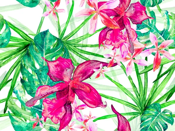 Orchid Seamless Pattern. — Stock Photo, Image