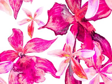 Orkide Kusursuz Desen.