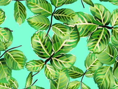 pürüzsüz desen bırakır.