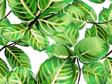 pürüzsüz desen bırakır.