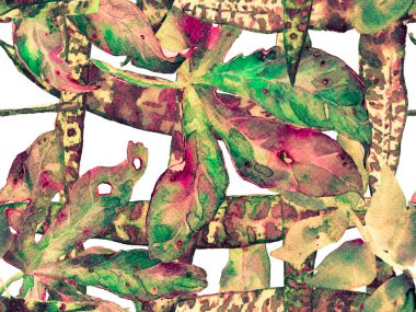 Suluboya Tertemiz Desen 'i Bırakıyor.