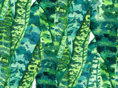 Suluboya Tertemiz Desen 'i Bırakıyor.