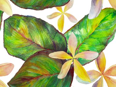 Orkide Kusursuz Desen.