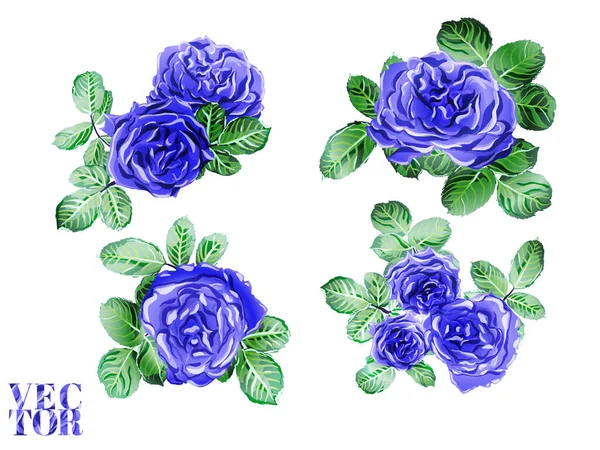 Vector Rose Arrière-plan. — Image vectorielle