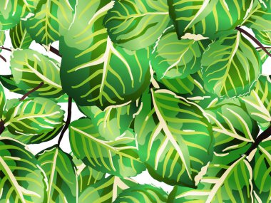 pürüzsüz desen bırakır.