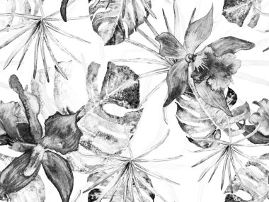 Orkide Kusursuz Desen.