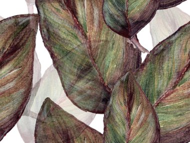 Suluboya kusursuz desen.