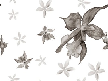 Orkide Kusursuz Desen.