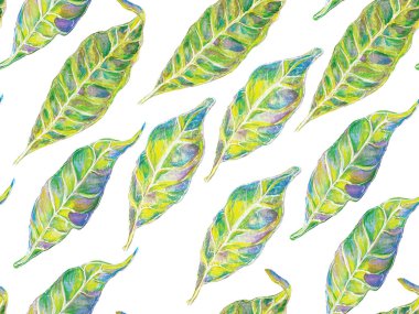 Biyo Jasmin Kusursuz Desen.