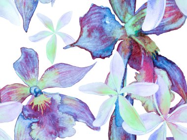 Orkide Kusursuz Desen.