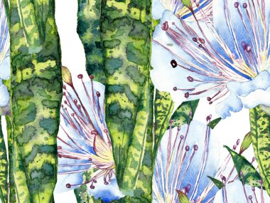 Suluboya Tertemiz Desen 'i Bırakıyor.