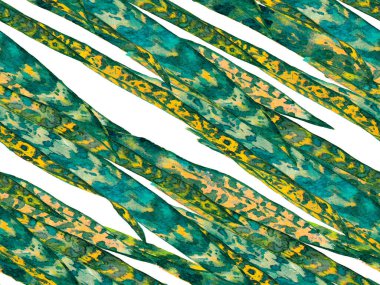 Suluboya Tertemiz Desen 'i Bırakıyor.