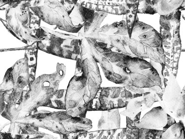 Suluboya Tertemiz Desen 'i Bırakıyor.