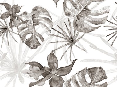 Orkide Kusursuz Desen.