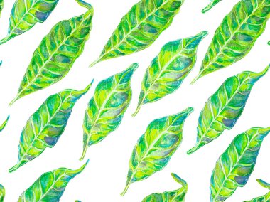 Biyo Jasmin Kusursuz Desen.